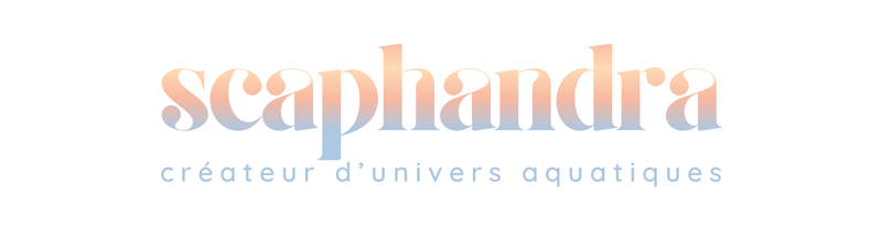 SCAPHANDRA