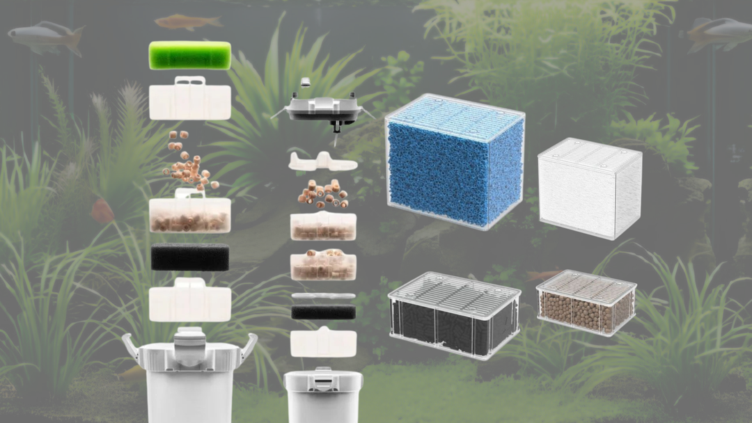 MODULES SPÉCIFIQUES DE MARQUES