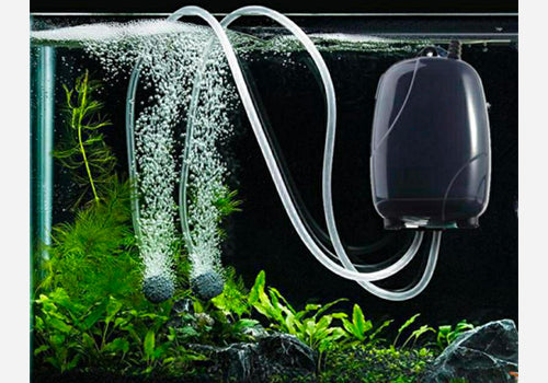POMPES À AIR