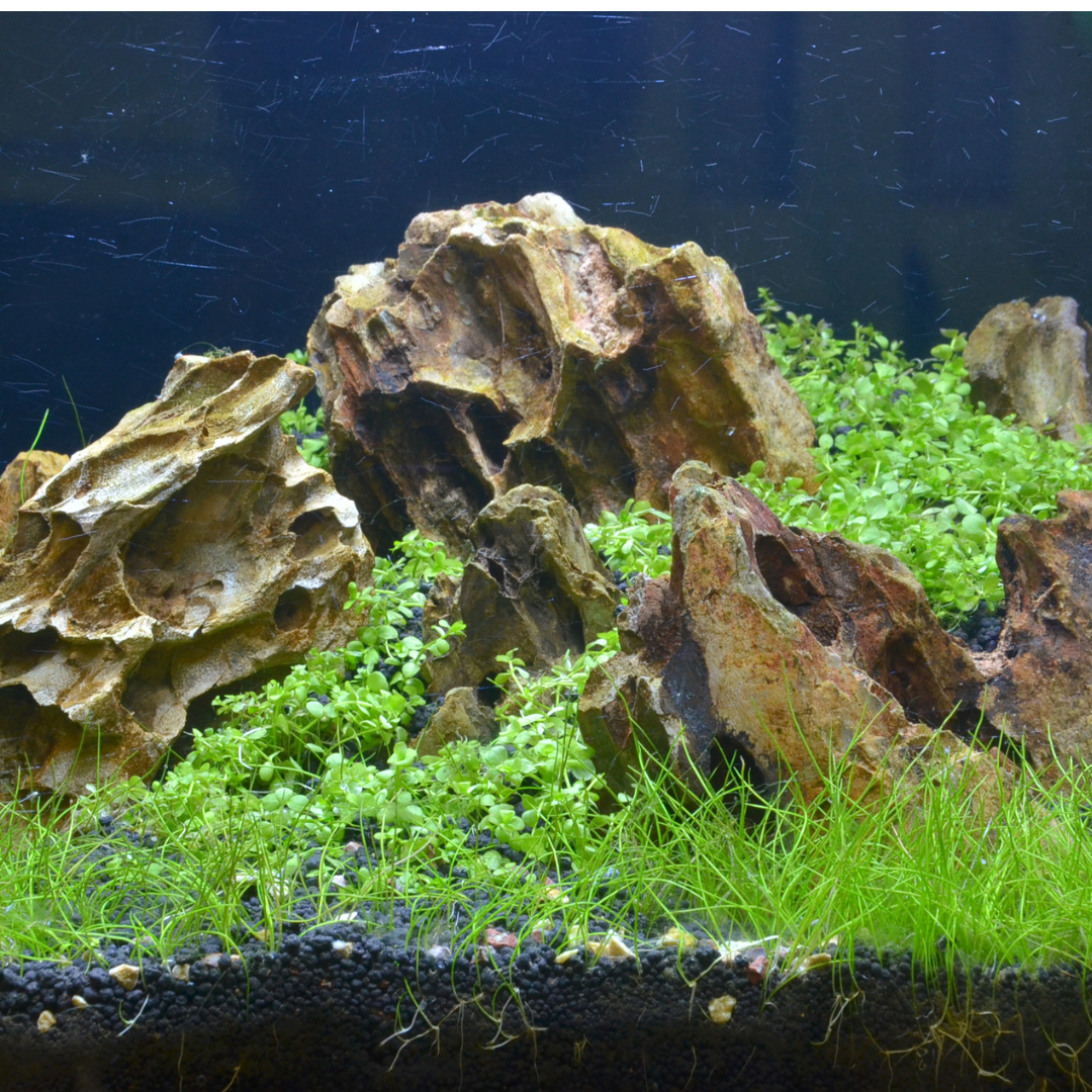 ROCHES NATURELLES