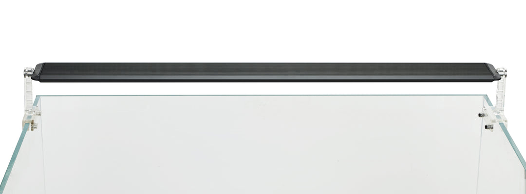 A II  - Rampe d&