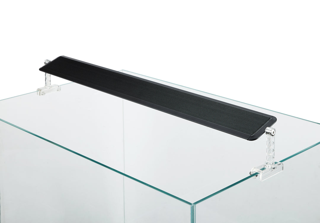 A II  - Rampe d&