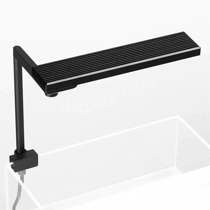 C II - Rampe d&