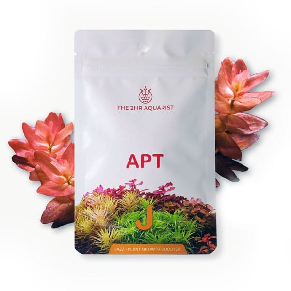 APT J Jazz - Capsules d&
