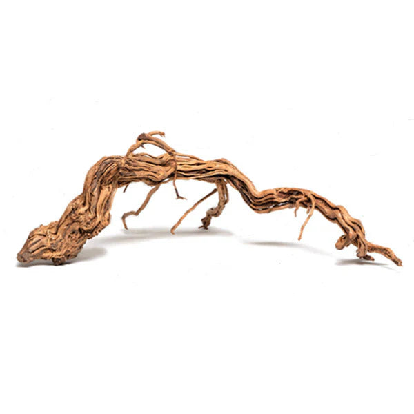 Curl Wood - Racine naturelle pour aquarium