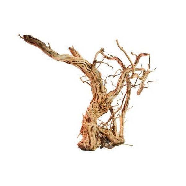 Curl Wood - Racine naturelle pour aquarium