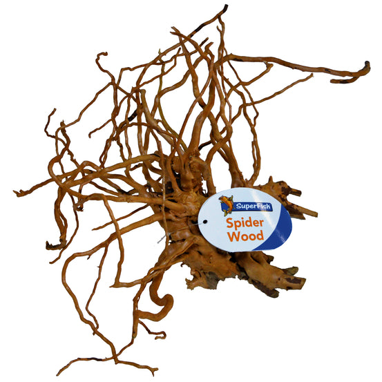 Spider Wood - Racine naturelle pour aquarium