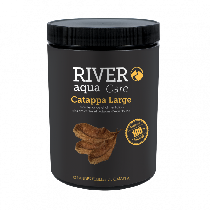 Catappa Nano/Large - Feuilles de Catappa pour aquarium