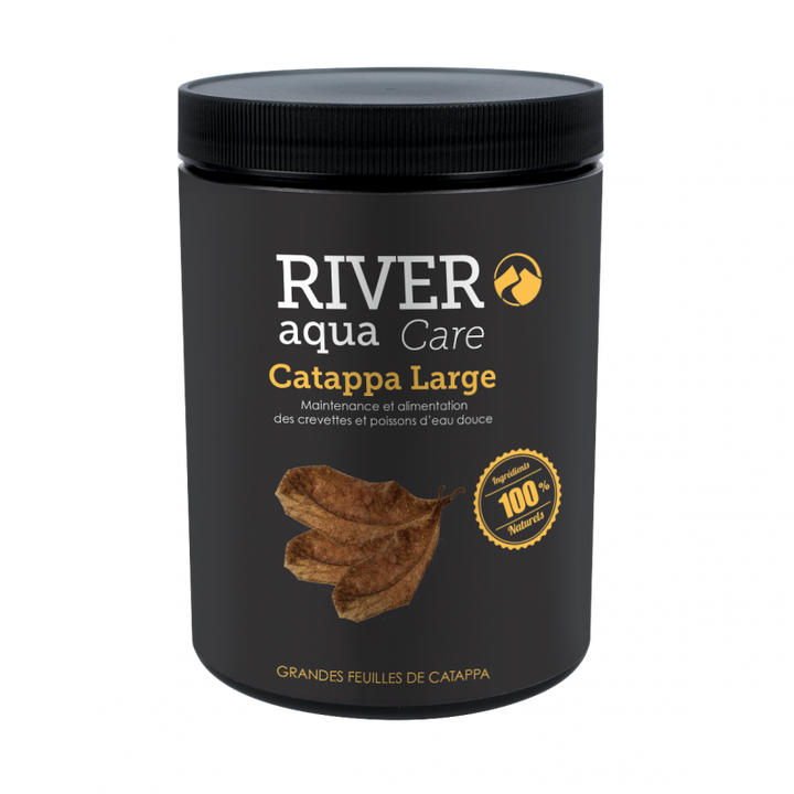 Catappa Nano/Large - Feuilles de Catappa pour aquarium