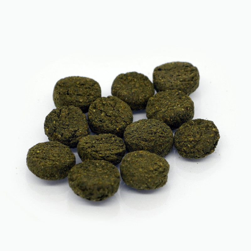 Algae Tabs - Pastilles pour Loricaridés, Crustacés &amp; poissons de fond