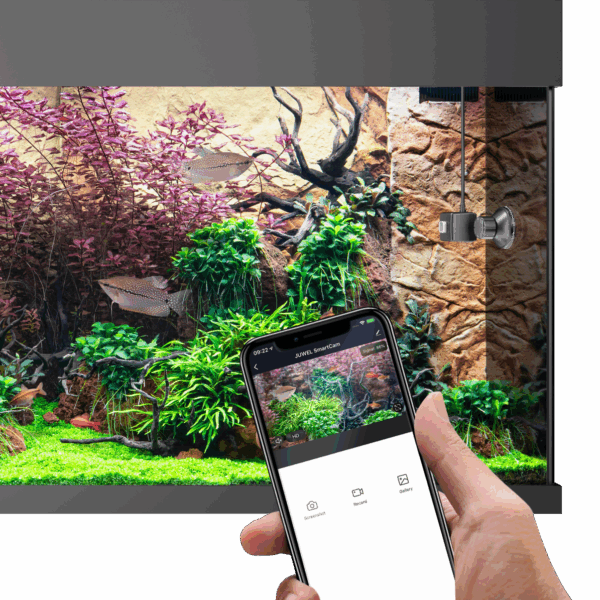 SmartCam - Caméra de surveillance connectée pour aquarium
